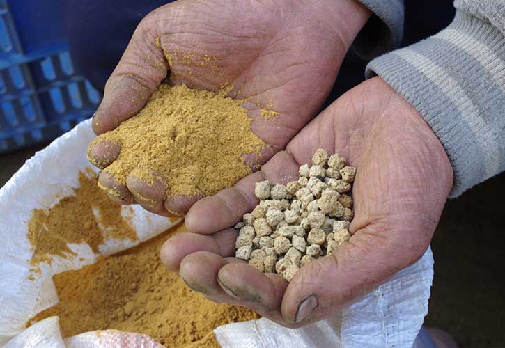 三浦大根の土づくり