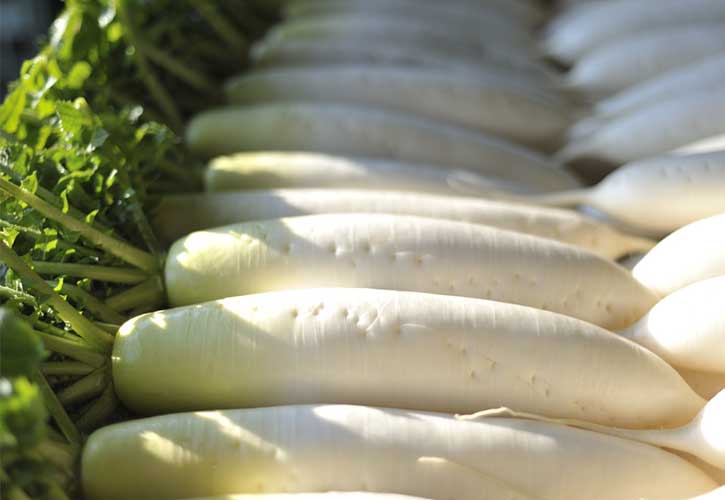新鮮な大根の見分け方