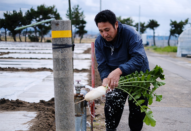 源助大根農家松本さん