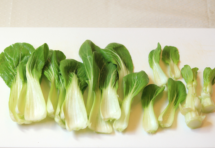 青梗菜を分解
