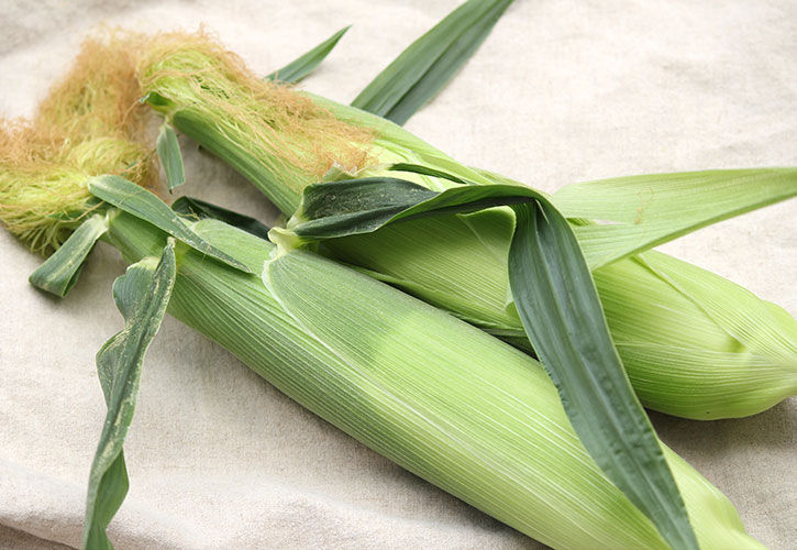 とれたてトウモロコシ