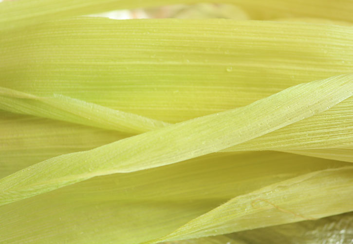 とうもろこし皮の水分