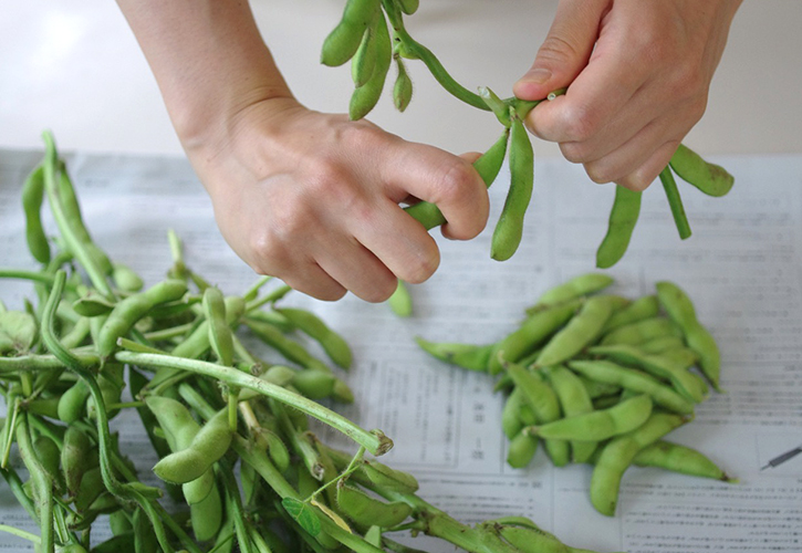 枝豆