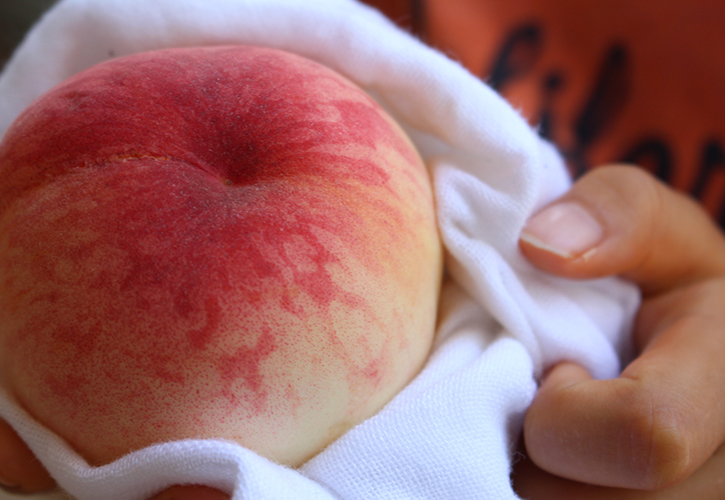 桃の産毛をとる