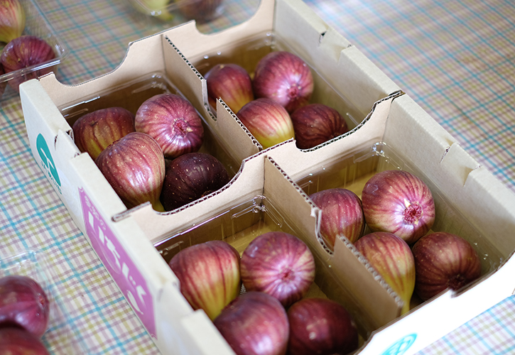 いちじくの出荷