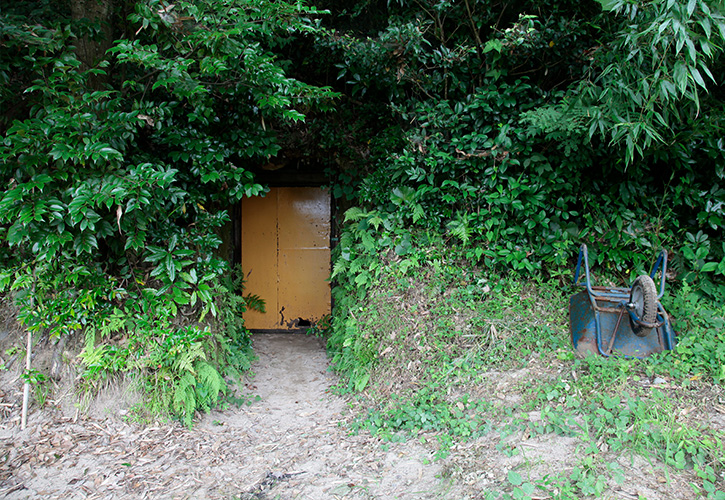 生姜を天然保存