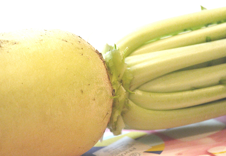 大根をまるいて