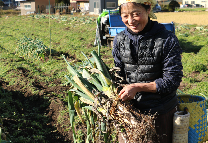 飛騨一本太ねぎ