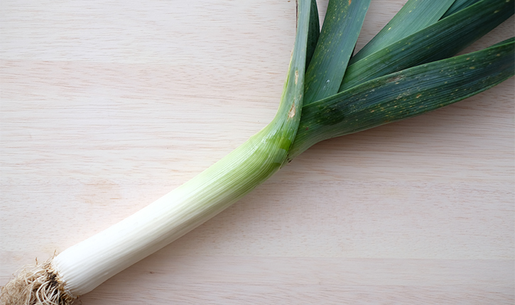 岐阜 高山のジャンボな新顔野菜 高山ポアロ