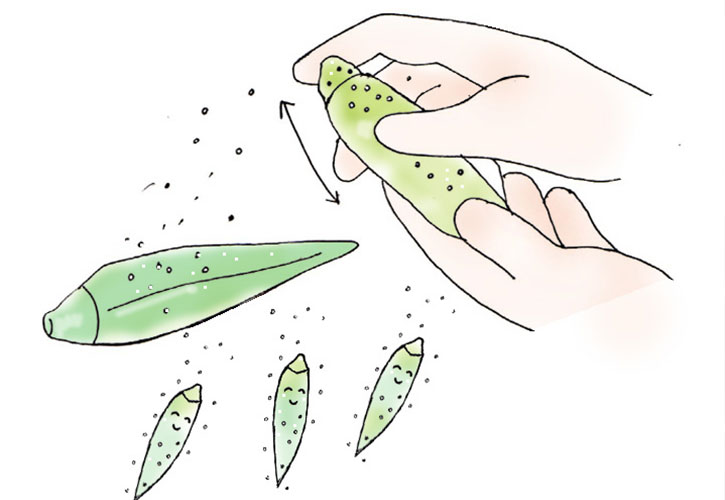 オクラの下処理