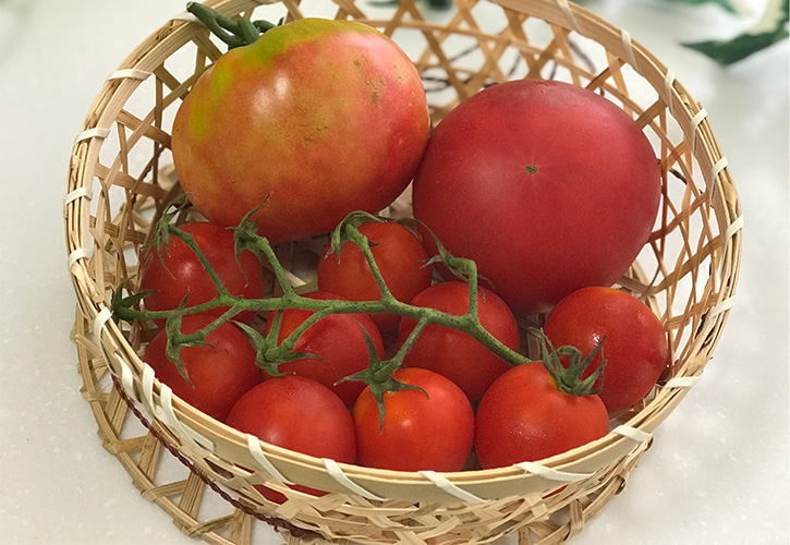 トマトいろいろ