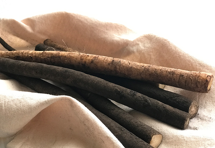 ごぼうの選び方