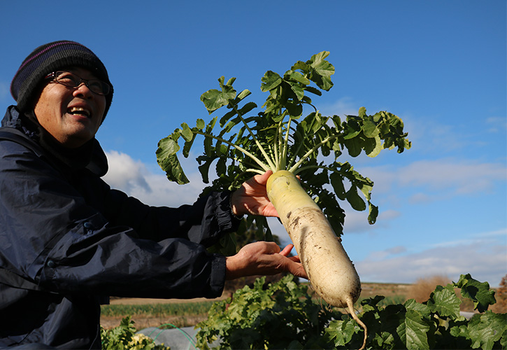 愛知大府市農家
