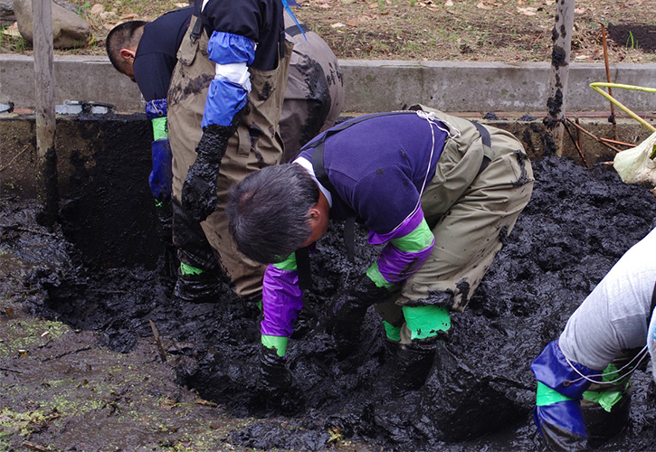 小学校でのレンコン掘り