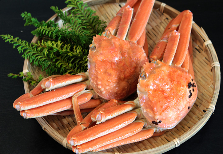 海の味覚松葉ガニ