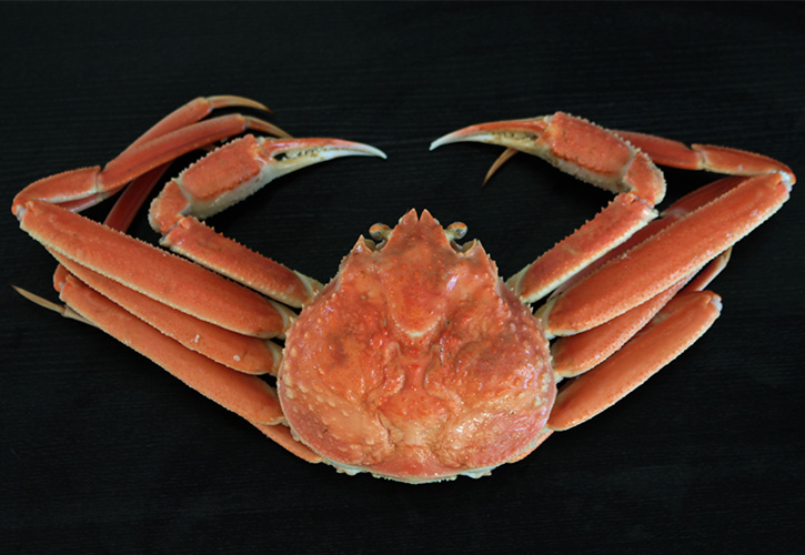 美味しい松葉ガニ