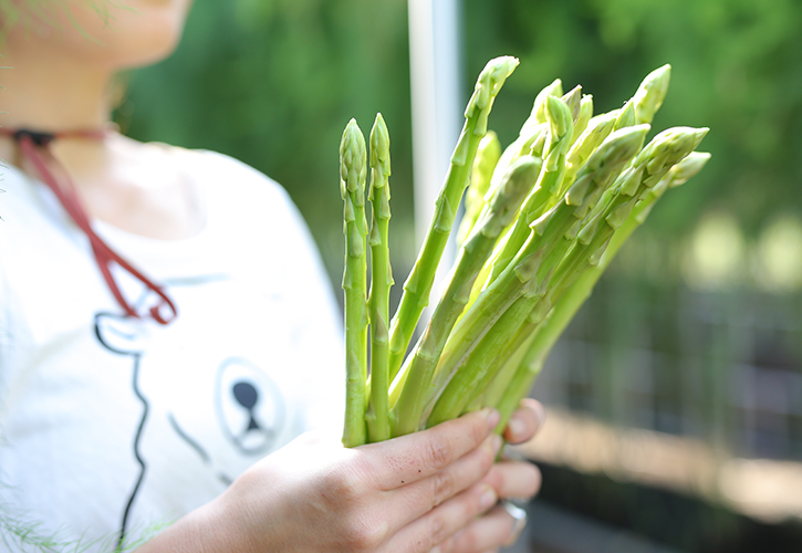 香川アスパラ