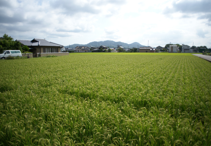 香川県高松就農