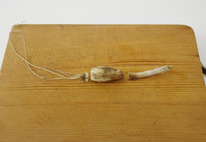 らっきょう甘酢漬けの下処理