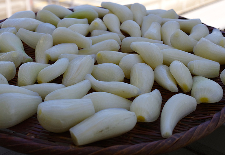 鳥取砂丘らっきょう