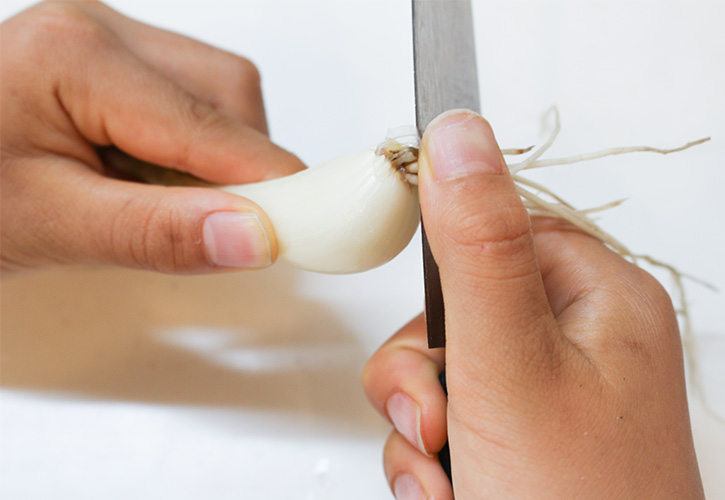 らっきょう根の切る