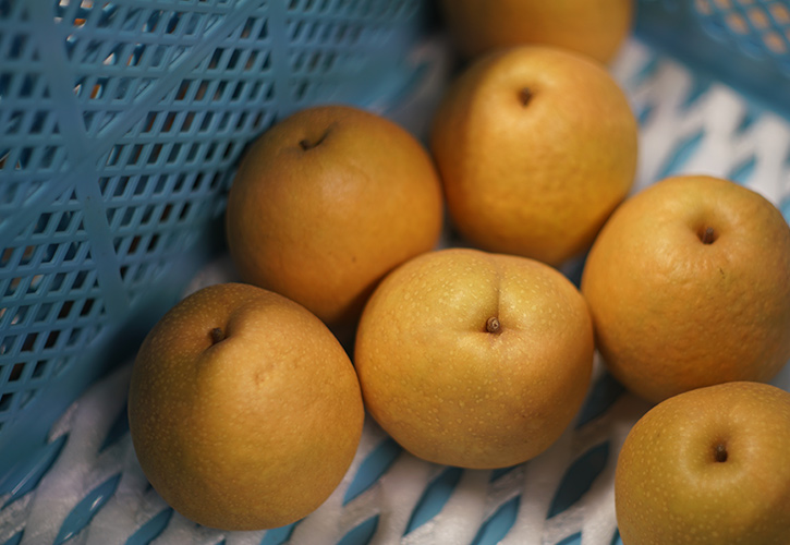 ありのみ倶楽部の梨