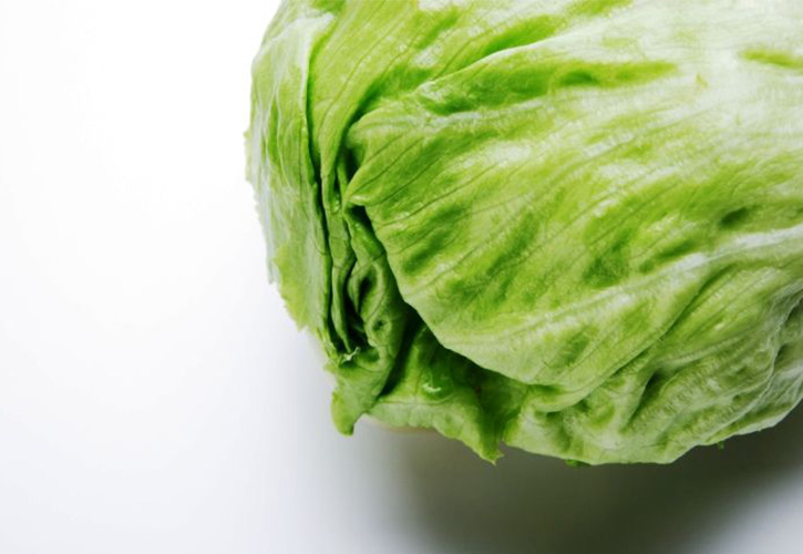 食物繊維が豊富なレタス