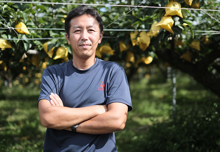 フルーツガーデン