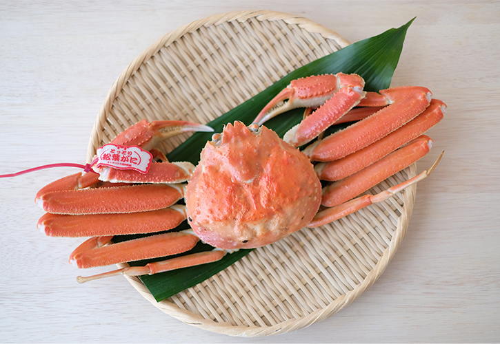松葉ガニタグ付き