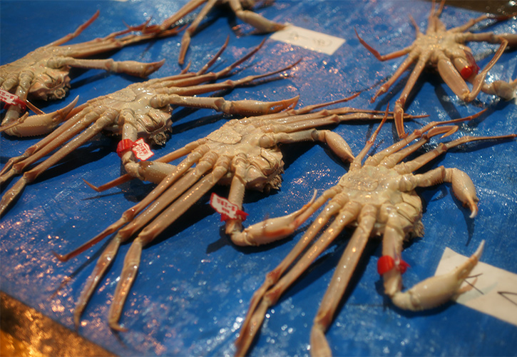 松葉ガニ裏並び