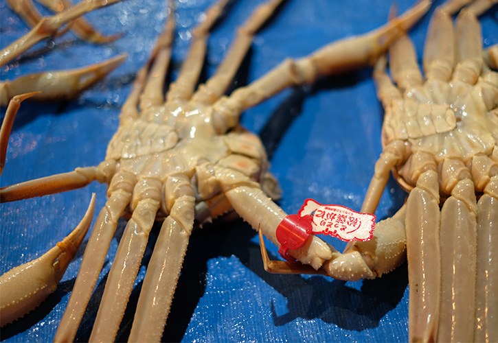 松葉ガニ裏タグ寄り