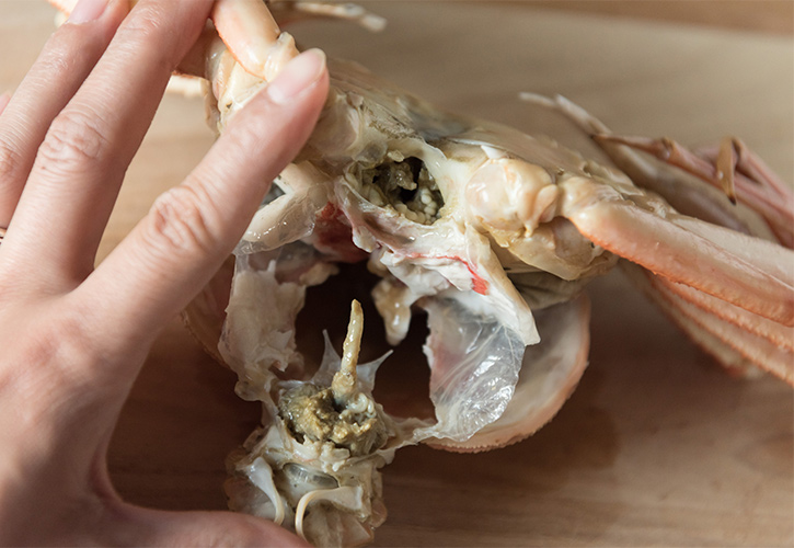 松葉ガニ剥く