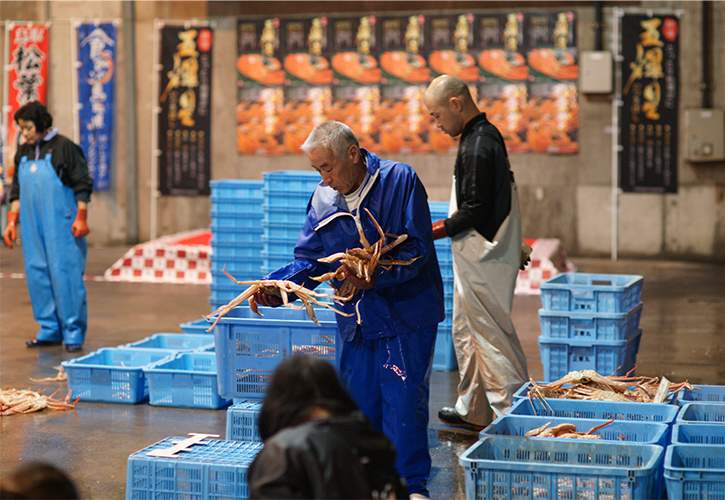 松葉ガニ競り
