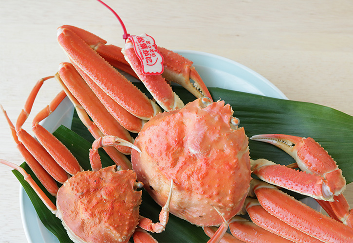松葉ガニ大小