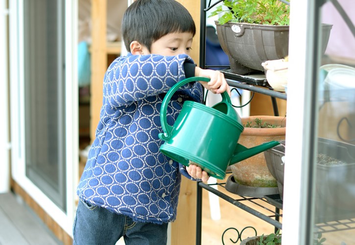 お米の研ぎ汁で水やり