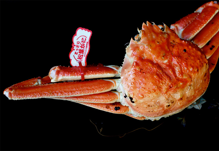 松葉ガニ黒バック2