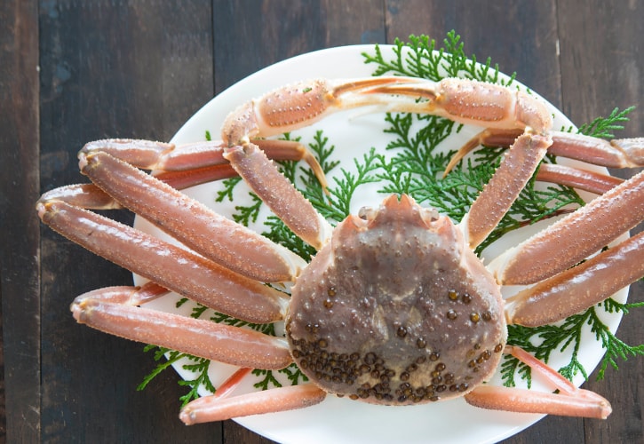松葉ガニ生