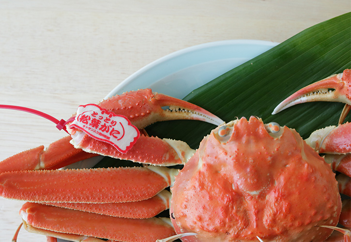 松葉ガニタグ寄り