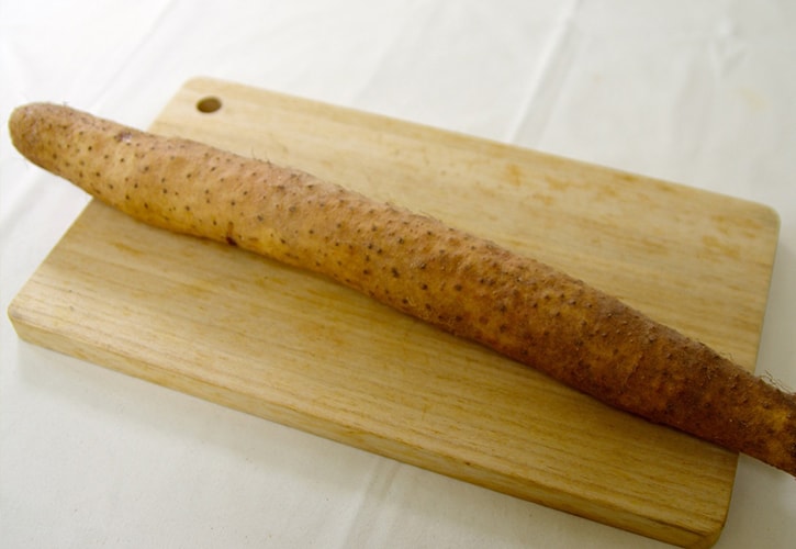 鳥取のねばりっこ