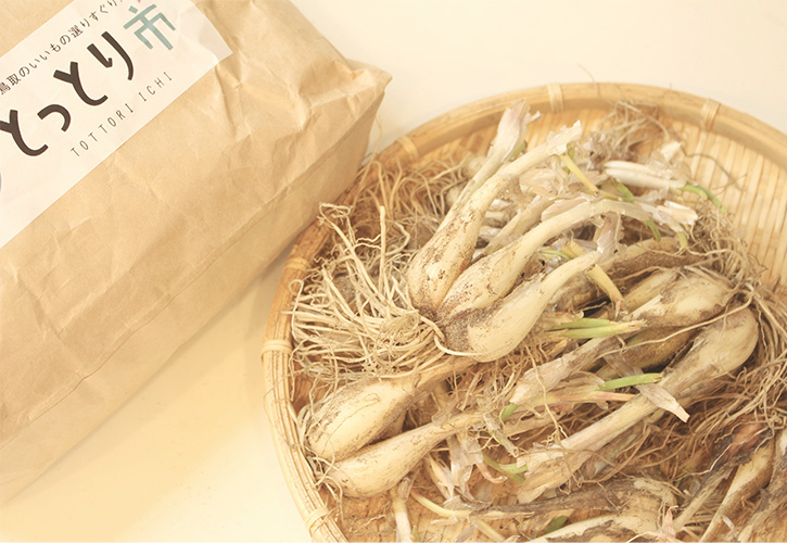 らっきょう甘酢漬け方