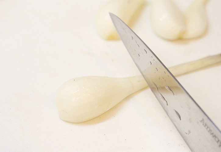 らっきょうの茎を切る