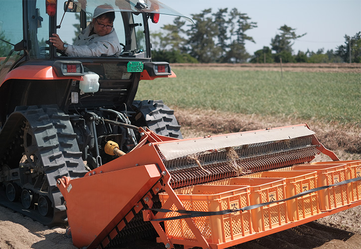 福部町西尾さんのらっきょう畑