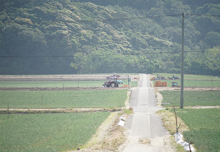 福部町らっきょう収穫