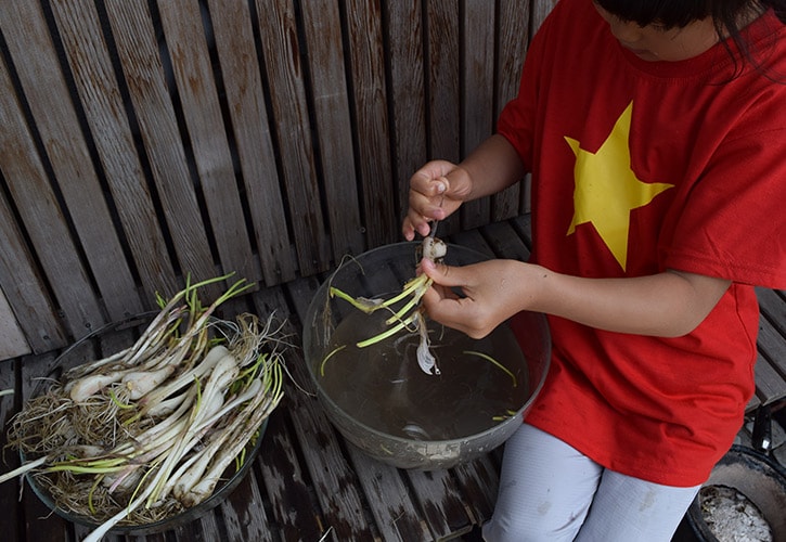 らっきょうを漬ける下処理