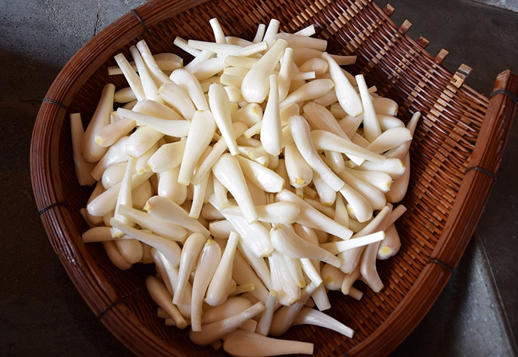らっきょうを漬ける
