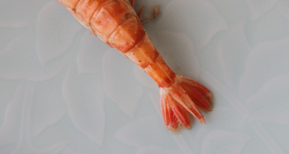 エビのしっぽは食べる？食べない？