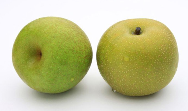 他の果物とは違う 梨の食べごろとは