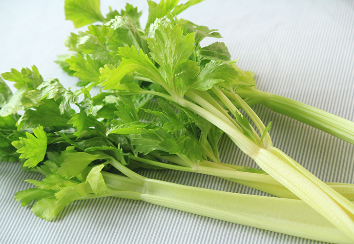 セロリ