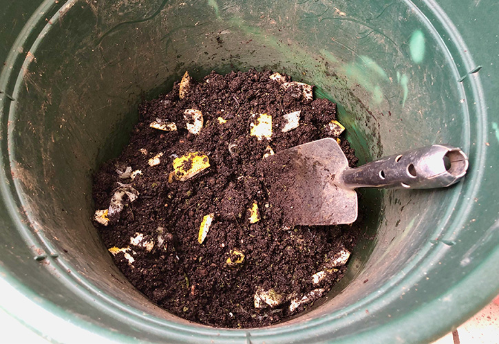 土と野菜を混ぜる