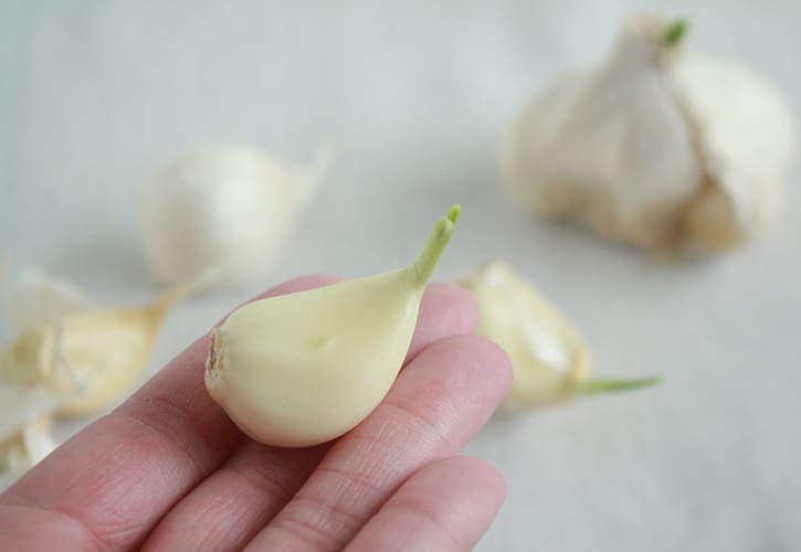 にんにく芽